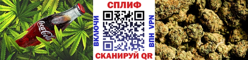 наркота  Каргополь  Cannafood марихуана 
