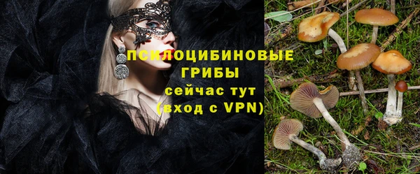 apvp Абинск