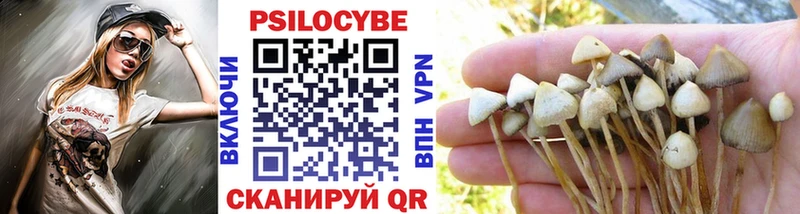 Галлюциногенные грибы Magic Shrooms  цена   Каргополь 